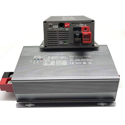180V-260V AC 50HZ Slimme Batterijlader 12V 30A /24V 15A/ 48V 10A
