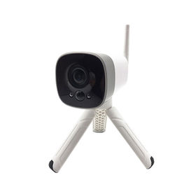 Mini Wifi Security Camera With 18650 IP Vrije de Wolkenopslag Op batterijen van de Veiligheidsnok 1080p