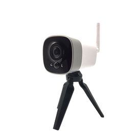 Mini Wifi Security Camera With 18650 IP Vrije de Wolkenopslag Op batterijen van de Veiligheidsnok 1080p