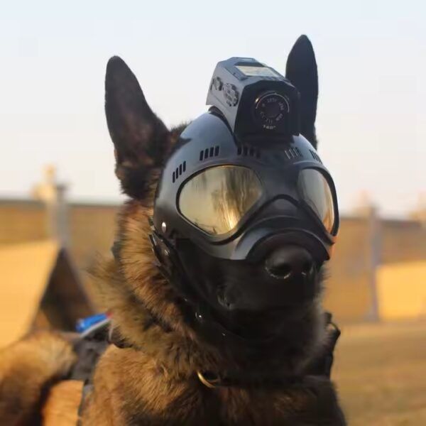Live Streaming Troepen Militaire Tactische Helmet Camera met 4G GPS en 2.4 GHz Wifi